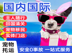 格尔木航空托运国际宠物托运 【国